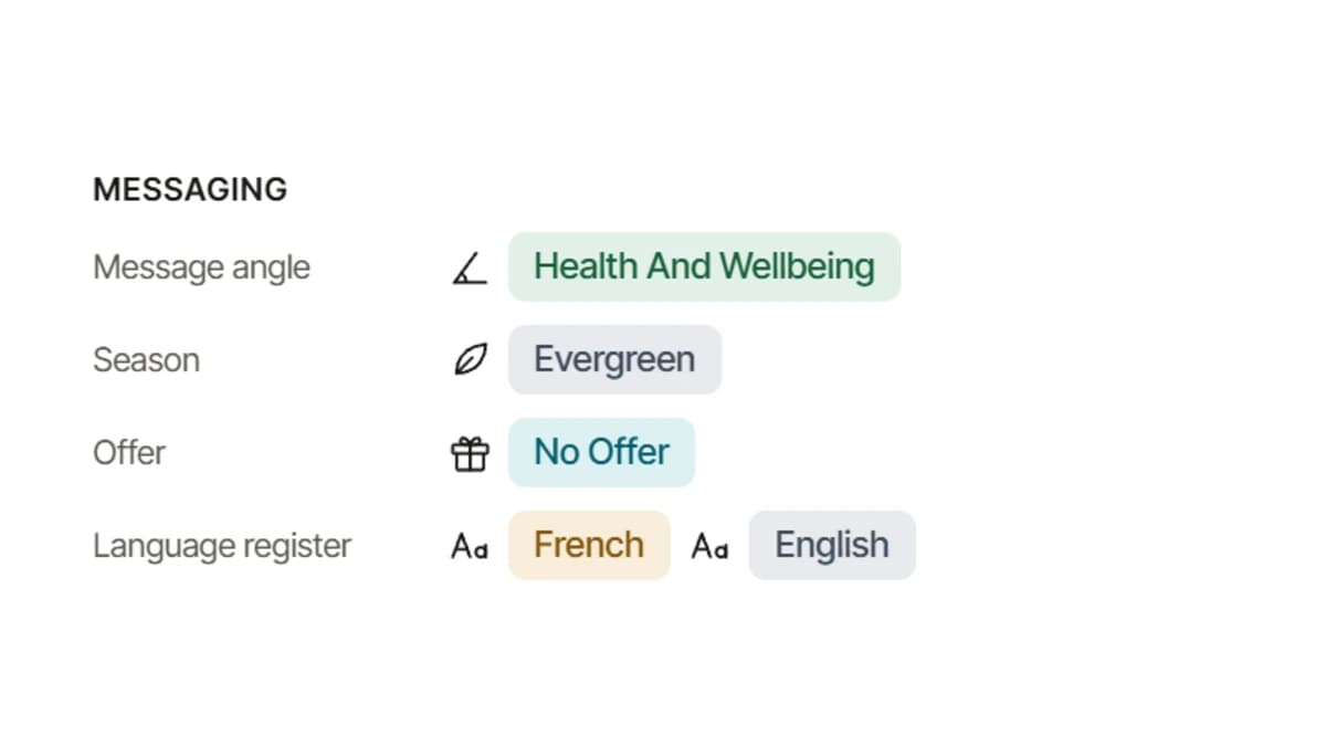 Messaging tags: message angle, season, offer and language register